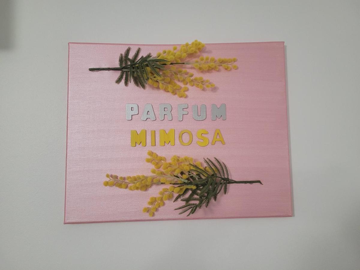 그하쓰 Parfum Mimosa 아파트 외부 사진
